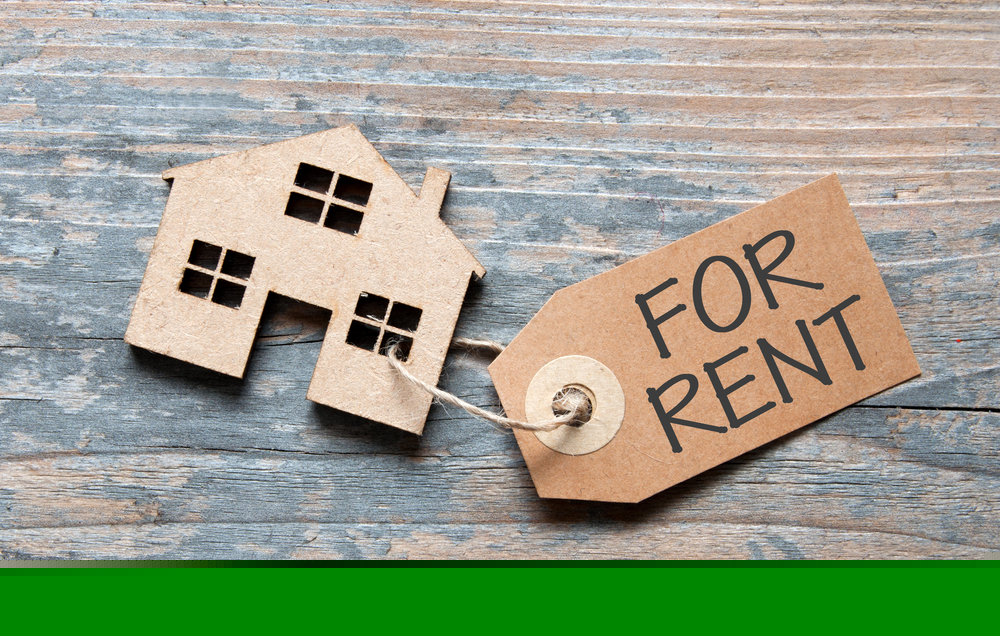 Essential Tips for Renting Out Your Property Like a Pro
